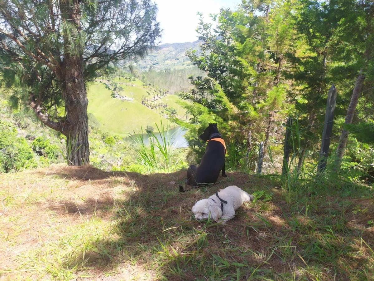 Donde Andres Campestre - Guatape Aparthotel El Penol  Luaran gambar